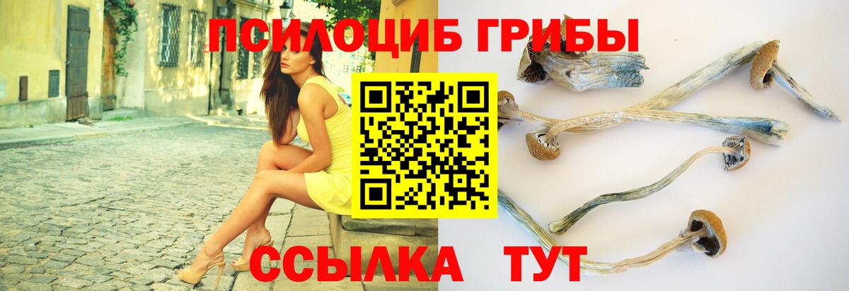 Псилоцибиновые грибы Psilocybe Миллерово