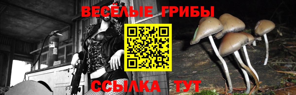 Псилоцибиновые грибы MAGIC MUSHROOMS  Вход с VPN  Миллерово 